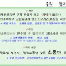 수영초등학교 티스토리