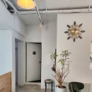 칠암동 바른병원 주차장 입구 앞 | [서울] 마당에서 강아지와 함께 뛰어놀고 휴식할 수 있는 성북구 장위동 애견 동반 디저트 카페 <하늘꿈터>