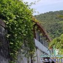 중앙동199 이미지