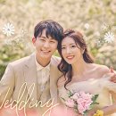 동고동락 대구결혼 정보회사 이미지