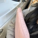 완산-146 | 겨울 끝자락 입춘🪴