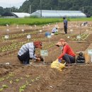 성동농장2 이미지