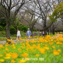 드림파크 이미지