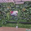 금빛 보이스캐디 골프아카데미 이미지