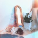 주식회사 컬쳐팩토리아지트 이미지