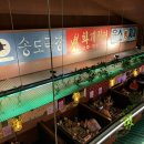 감동마을회관 | 옥련동포차 마을회관포차 가봤던 후기(가을 새우 구이+의외의 돈까스 맛집)
