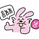 조코제주똥돼지
