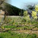 난초목장 이미지