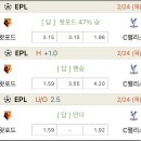 리즈펠리스 이미지