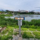 봉포레이크글램핑&오토캠핑장 이미지