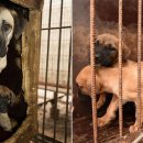 장형농장 이미지