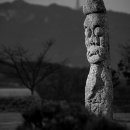 서천리 당산 이미지