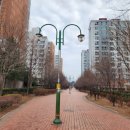 율하체육공원 생태연못 | 대구 동구 율하체육공원 매화 개화시기 매화꽃 보며 산책하기조은곳 추천!!