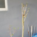 이엘농장 이미지