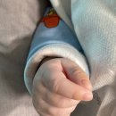 배 조형물 | &lt;성장일기&gt;옹알이 시작 손발조형물 도담베이비 첫 스타필드 나들이