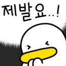 스마트한 펫시터 준비하기 | 🧳25년 후쿠오카 9월 4박5일 여행 짐싸기_인천공항 파업 대처하기🎫