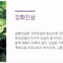 강화고려인삼영농조합법인