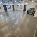 프로펫 애견샵 이미지