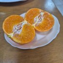 산채음식관 이미지