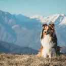 민락동물병원 이미지