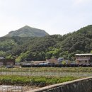 반월-9 이미지