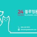 편안한 동물병원 이미지