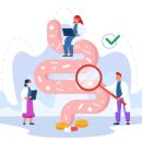 헬리아짐 이미지