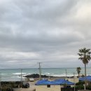 협재예송이네 이미지