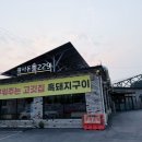 229 | 고읍동맛집 구워주는 고깃집[광사돈229] 가족외식한 후기