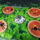 반딧불이키즈 이미지