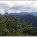 우회도로삼거리(우) 이미지