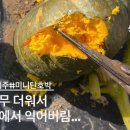 미문농장 이미지