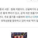 가든다루
