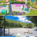 흥정계곡오토캠핑장 이미지