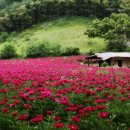 상동읍 꼴두바우공원 이미지