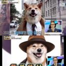 인스타 이미지
