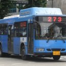 서울 에서 가장젊은 버스노선 이미지