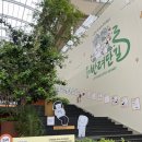 펫아울렛 이미지