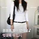 히어비포(HERE B4) | 꽃구경 코디 고민이라면? 올봄에 입을 벚꽃룩 추천