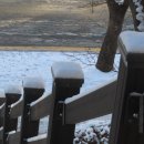 참새의 정원 이미지