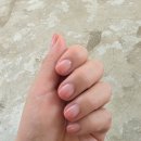 아르다뷰티