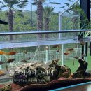 멍그라미 | 부산 근처 김해 물고기 잡기체험 아기랑 카페 그라미