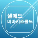 옵티마나무약국 | [내돈내산/영양제] 셀메드 비바키즈 골드! 무조건! 찐후기
