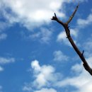 (주)폴리포니 이미지