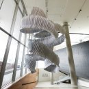 건축사사무소 리움 이미지