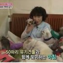 여유만만