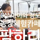 신상농장 2 네이버블로그