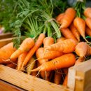 아이월드안경 이미지