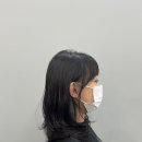 모이살롱