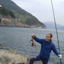 갈매기펜션 이미지